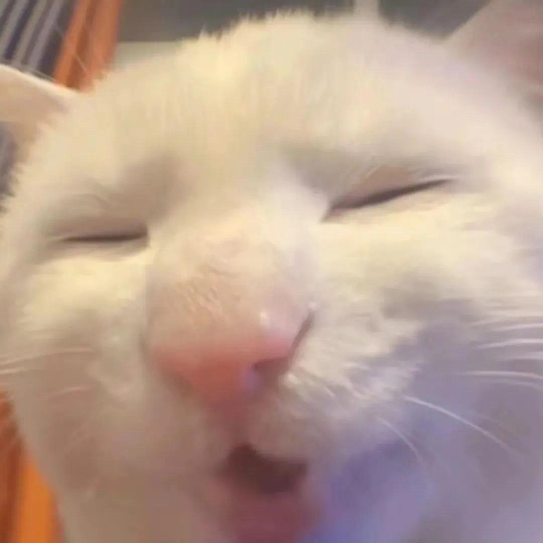 林北.