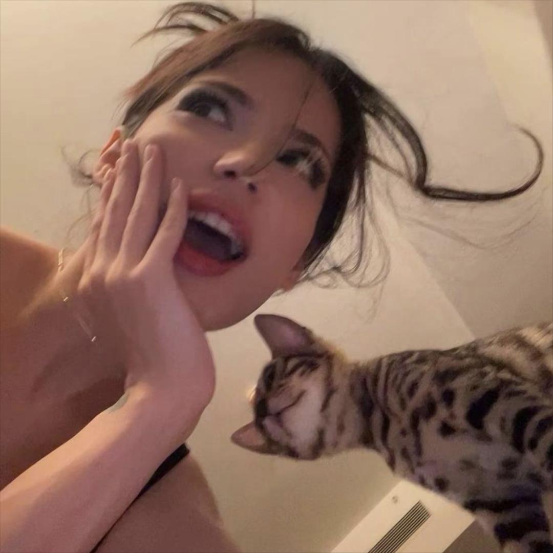 ㅤㅤ ㅤㅤㅤㅤ ㅤㅤᥫᩣ.