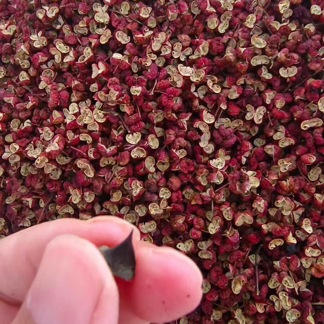 鑫禾椒丰专业合作社