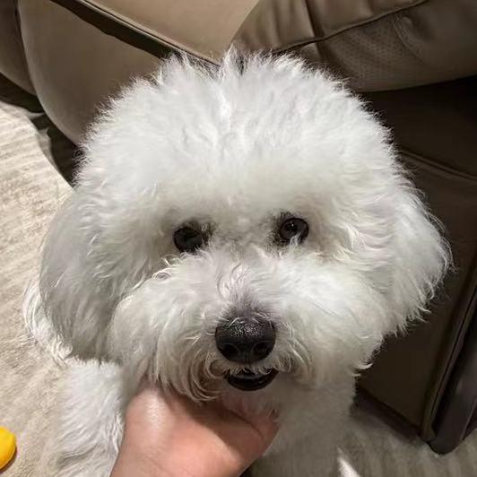 自我
