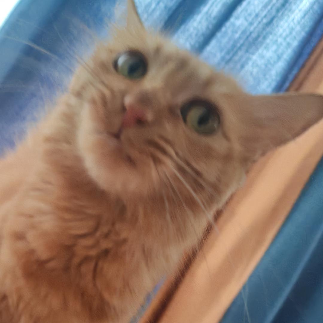 许如煜