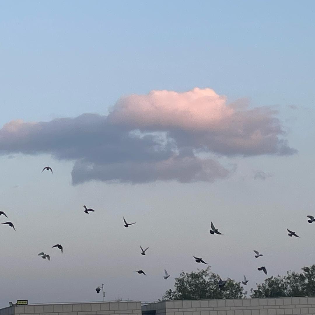 热血江湖：归来直播号