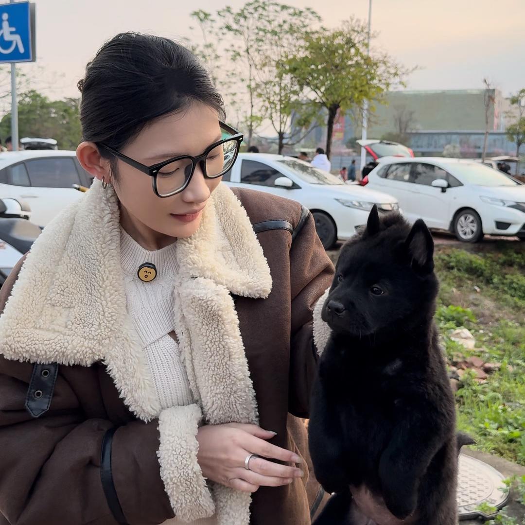 小羊汪汪队