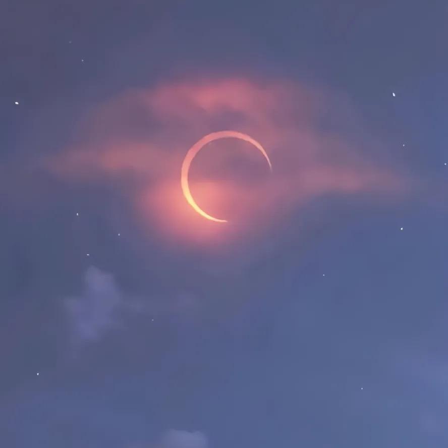 电饭煲煲🌙