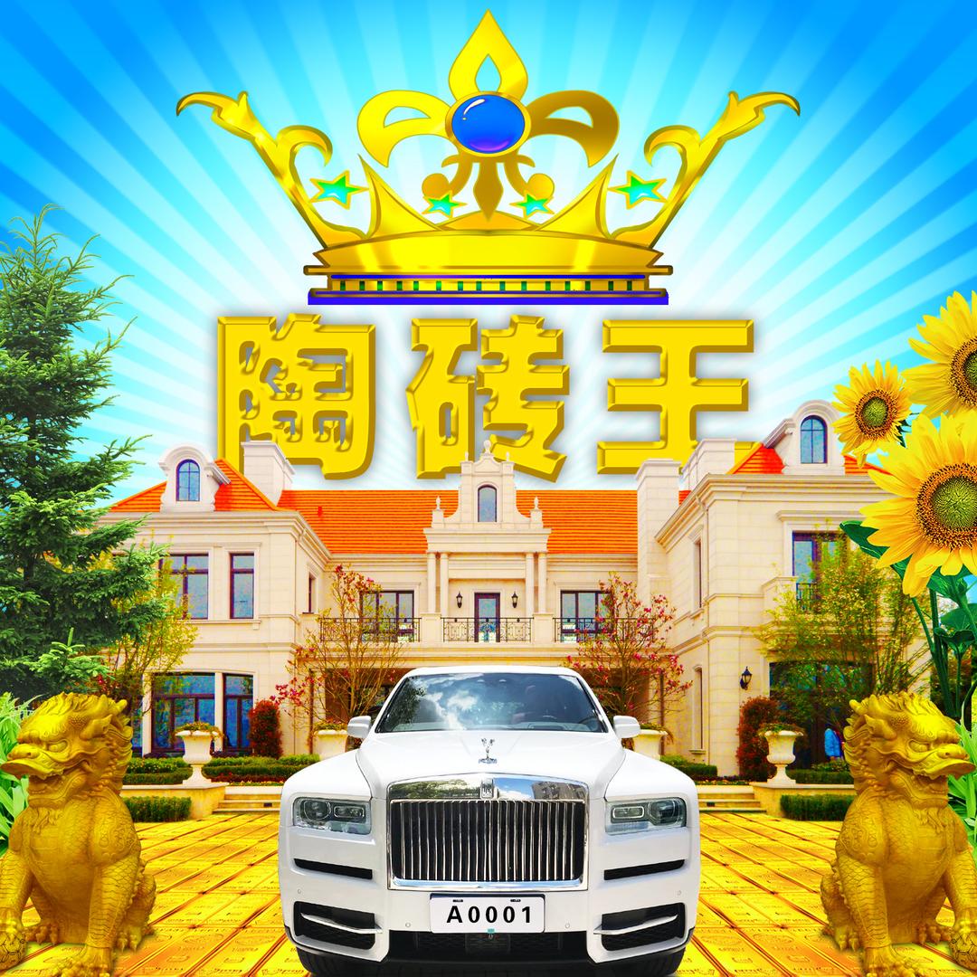 👑中国陶砖王🏦