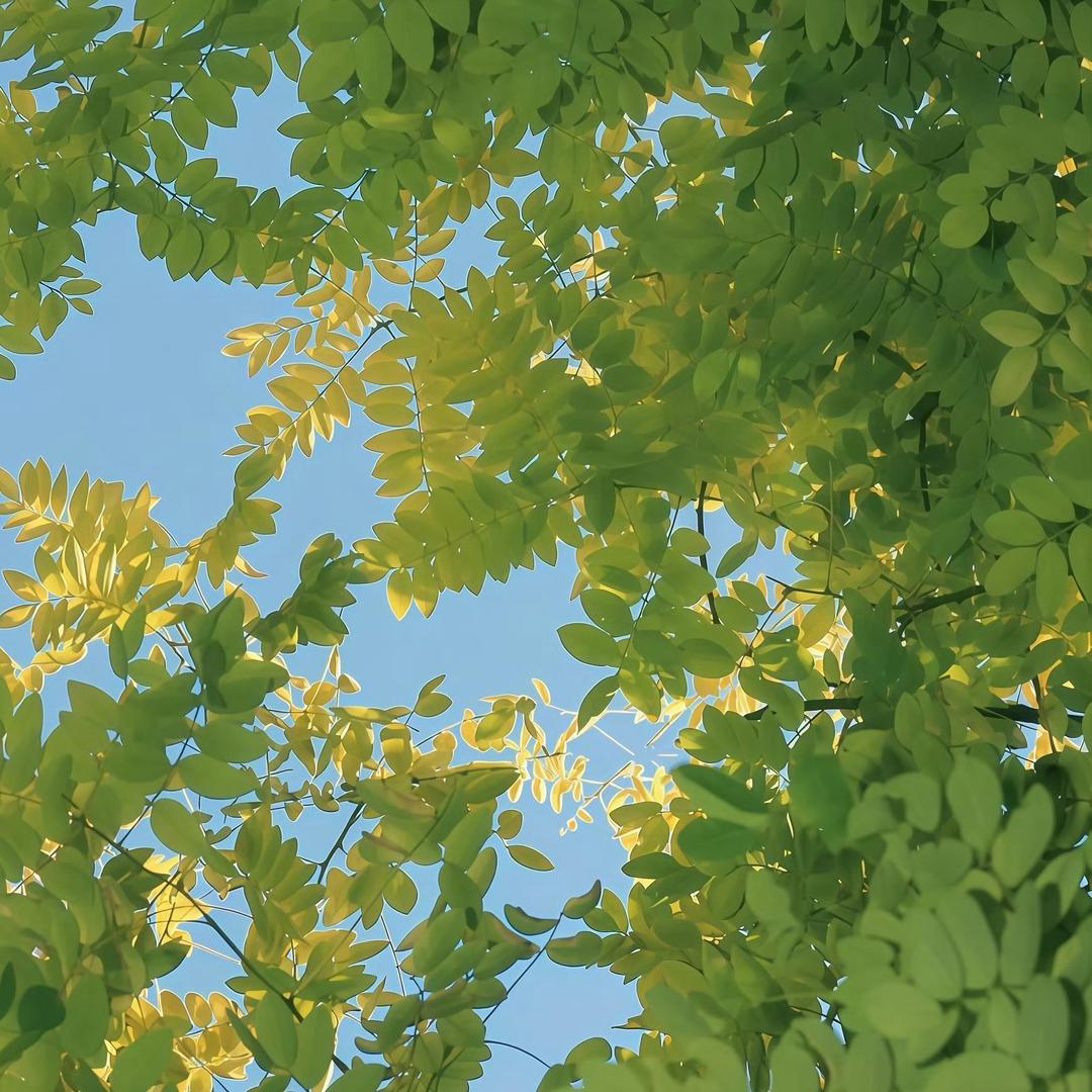 狼道-小满的好物匣子