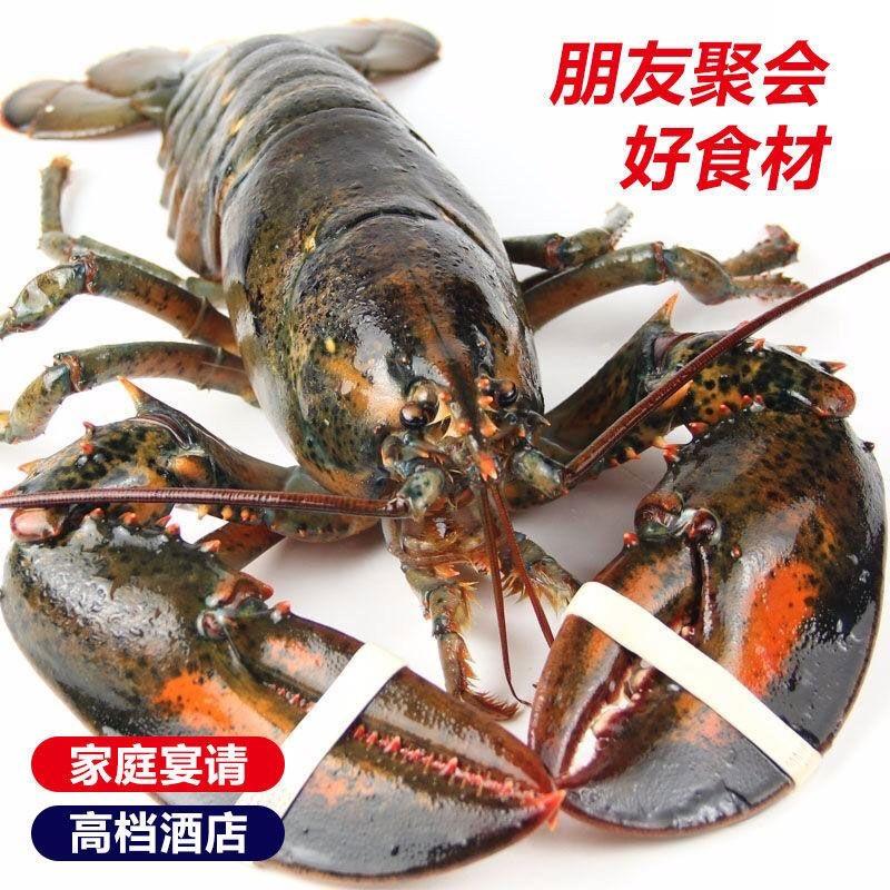 脾气姐海鲜贝类海鲜