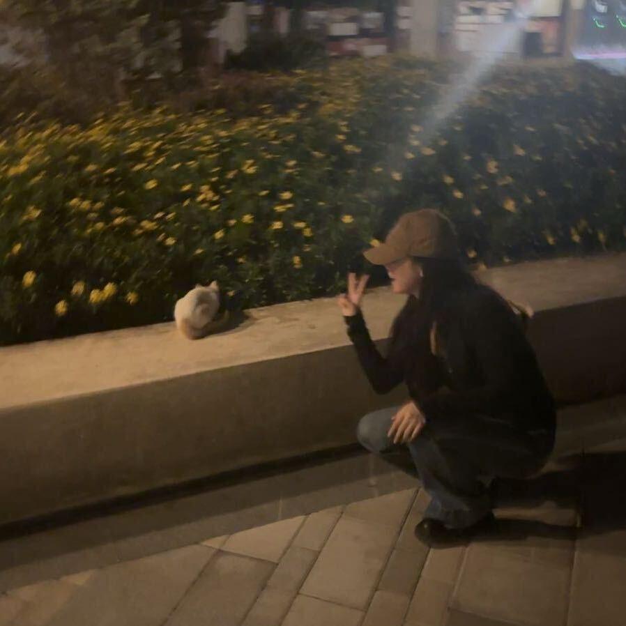 羊羊羊嘎嘎嘎