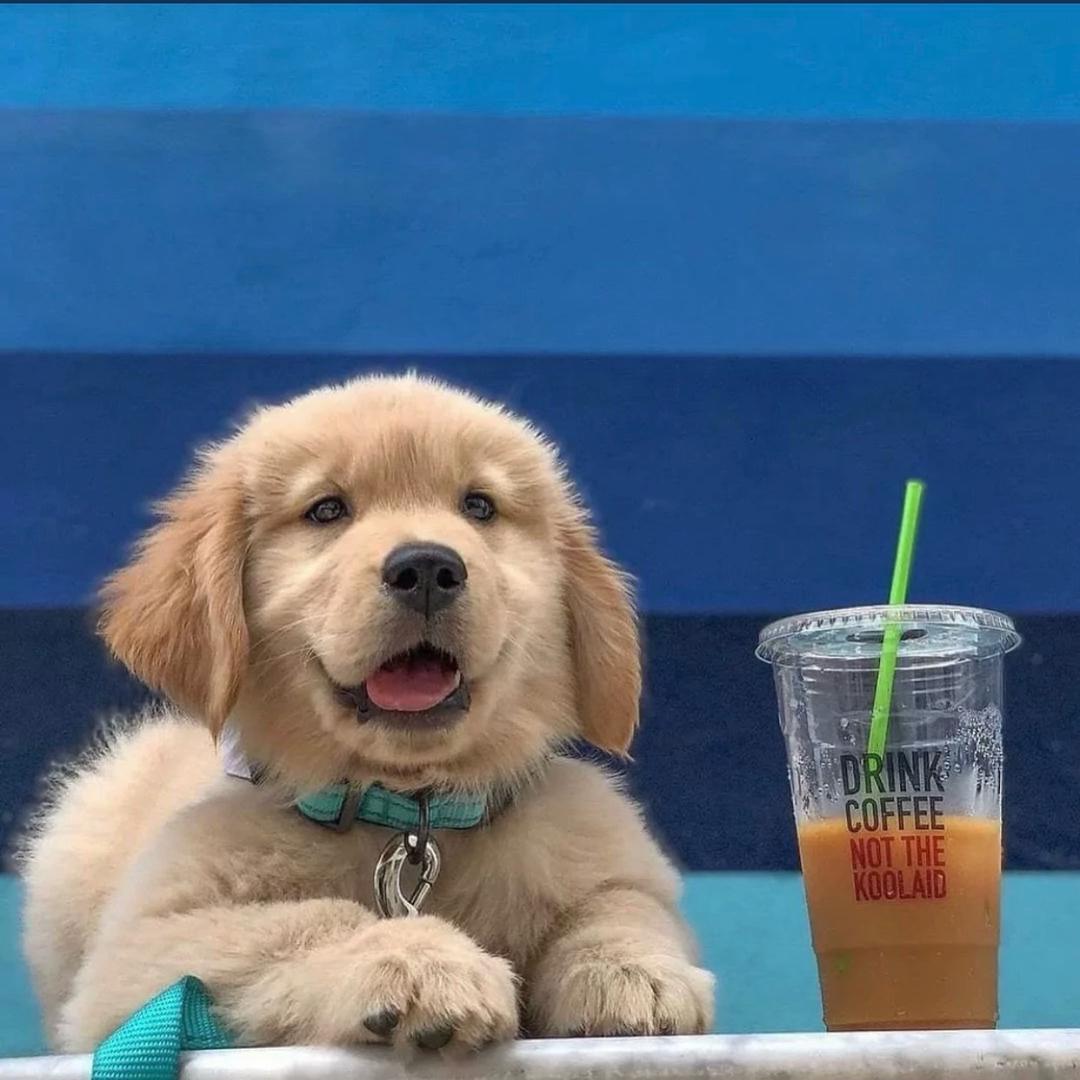 细节图💁‍♀️