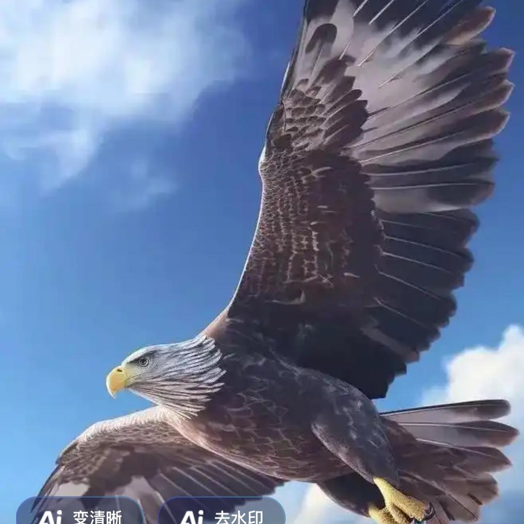 鹏程九万里