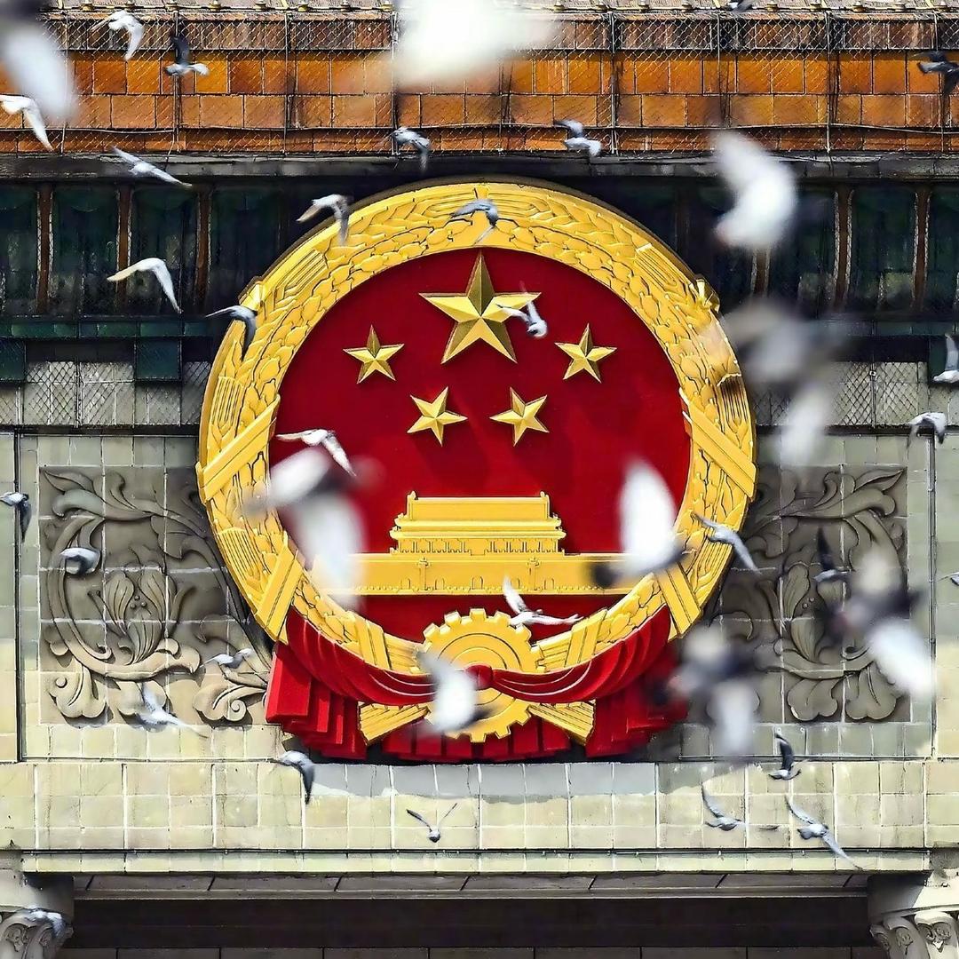 饿瘦也是瘦
