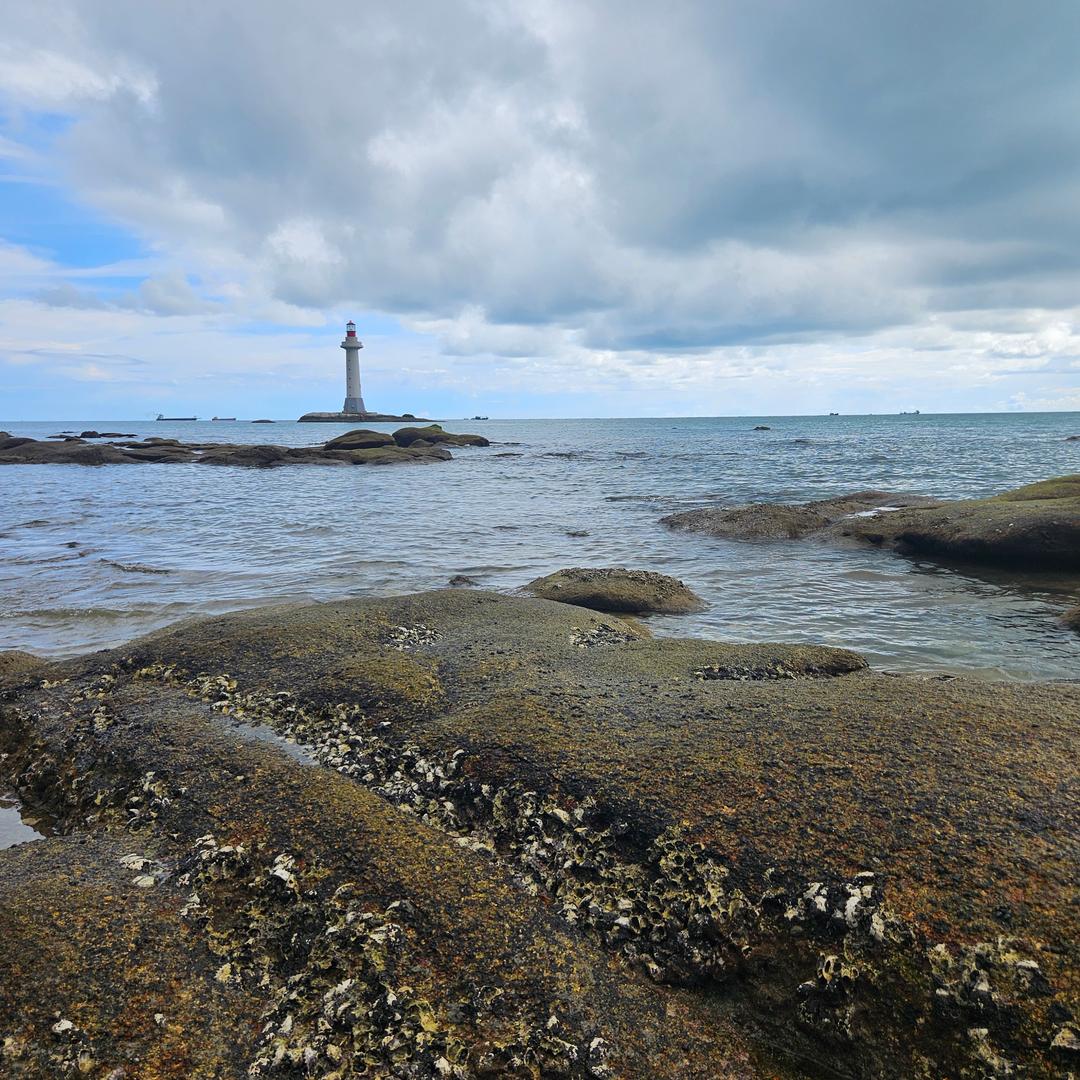 孤独的不吃香菜