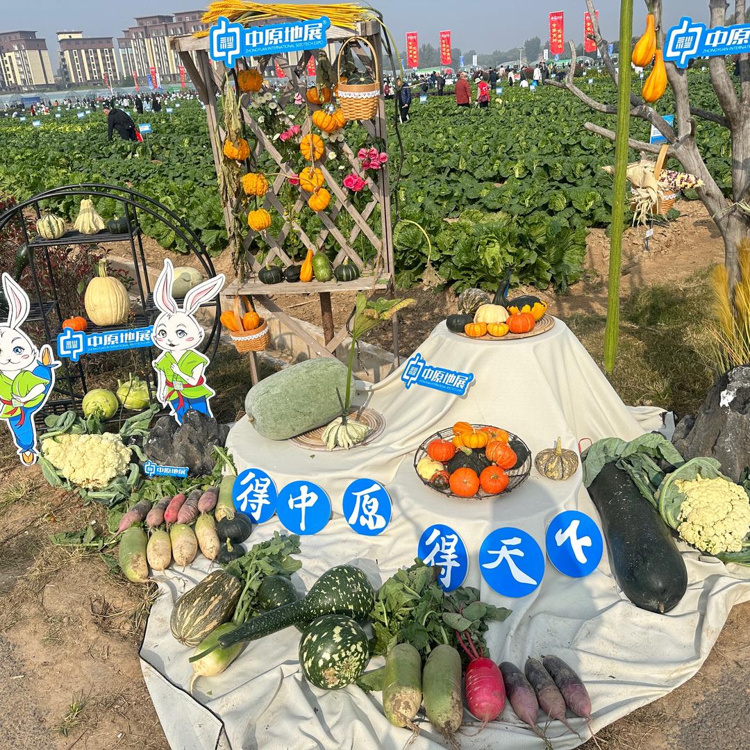 襄城县鹏洁农业科技有限公司