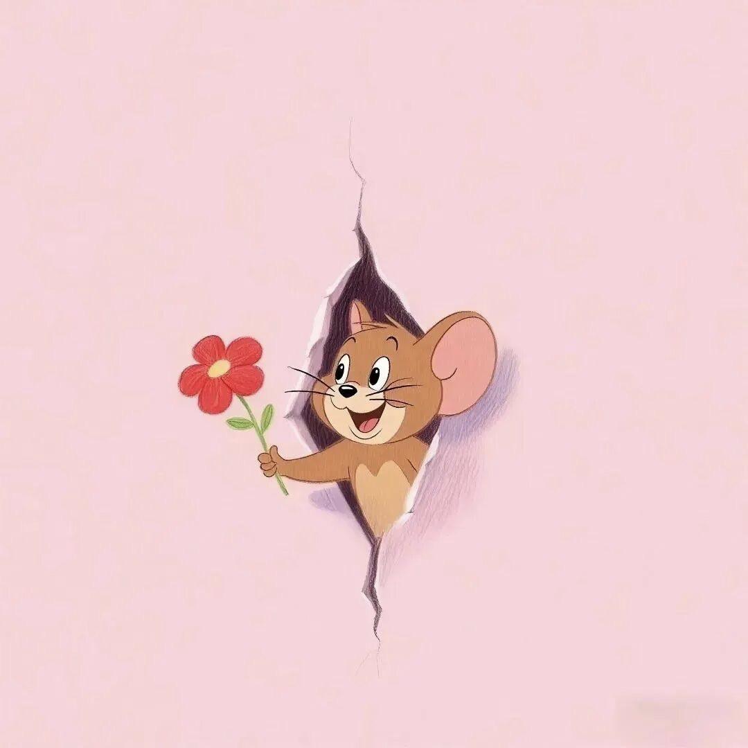 安静❤️
