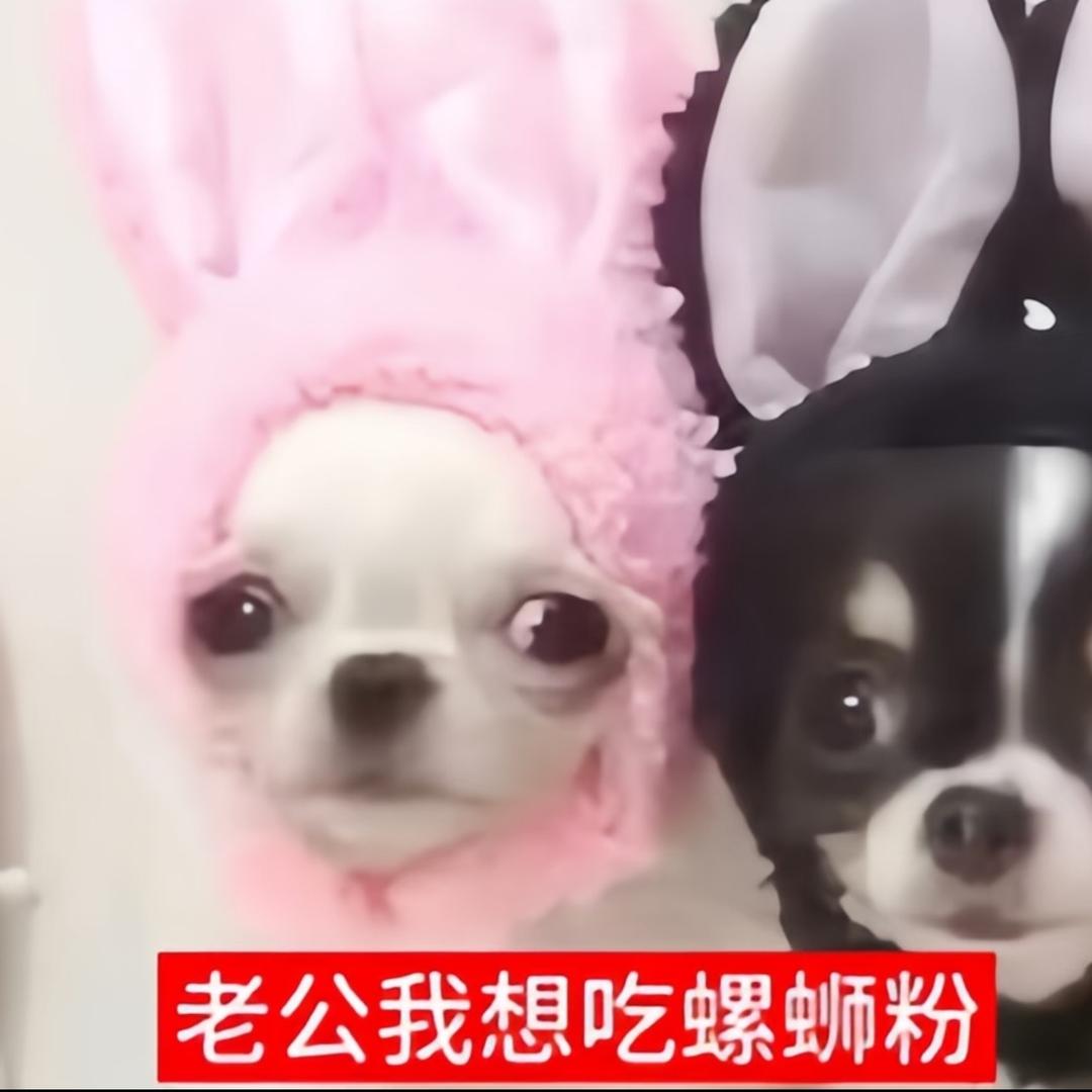 贼肉