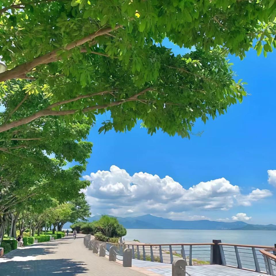 小嘉