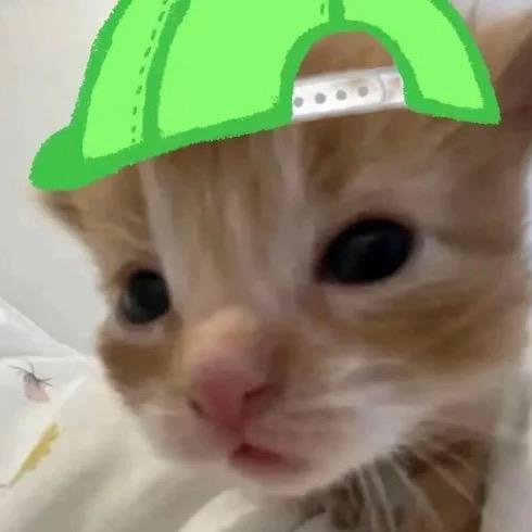 ₂₁年冬