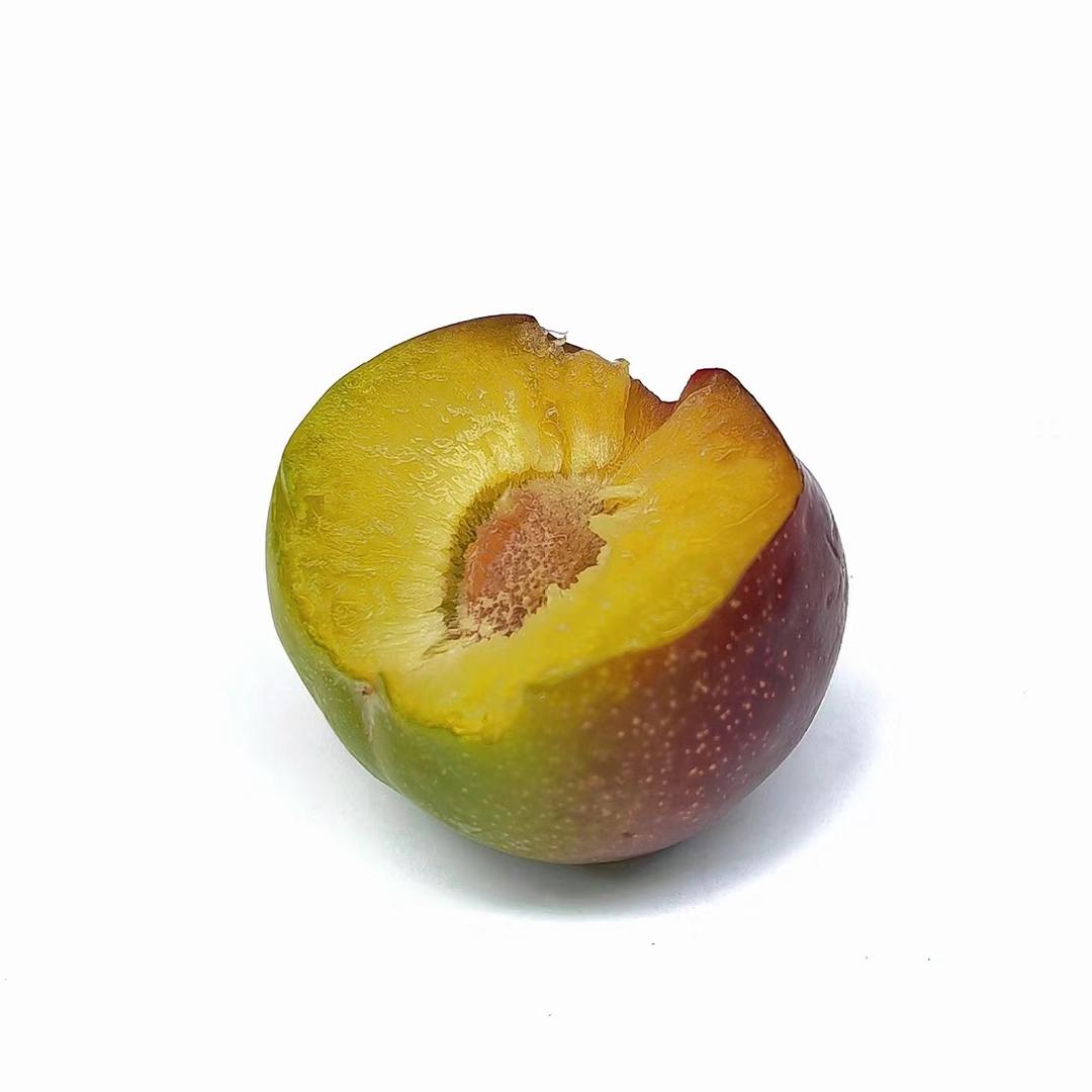 李子李(直播看主页简介