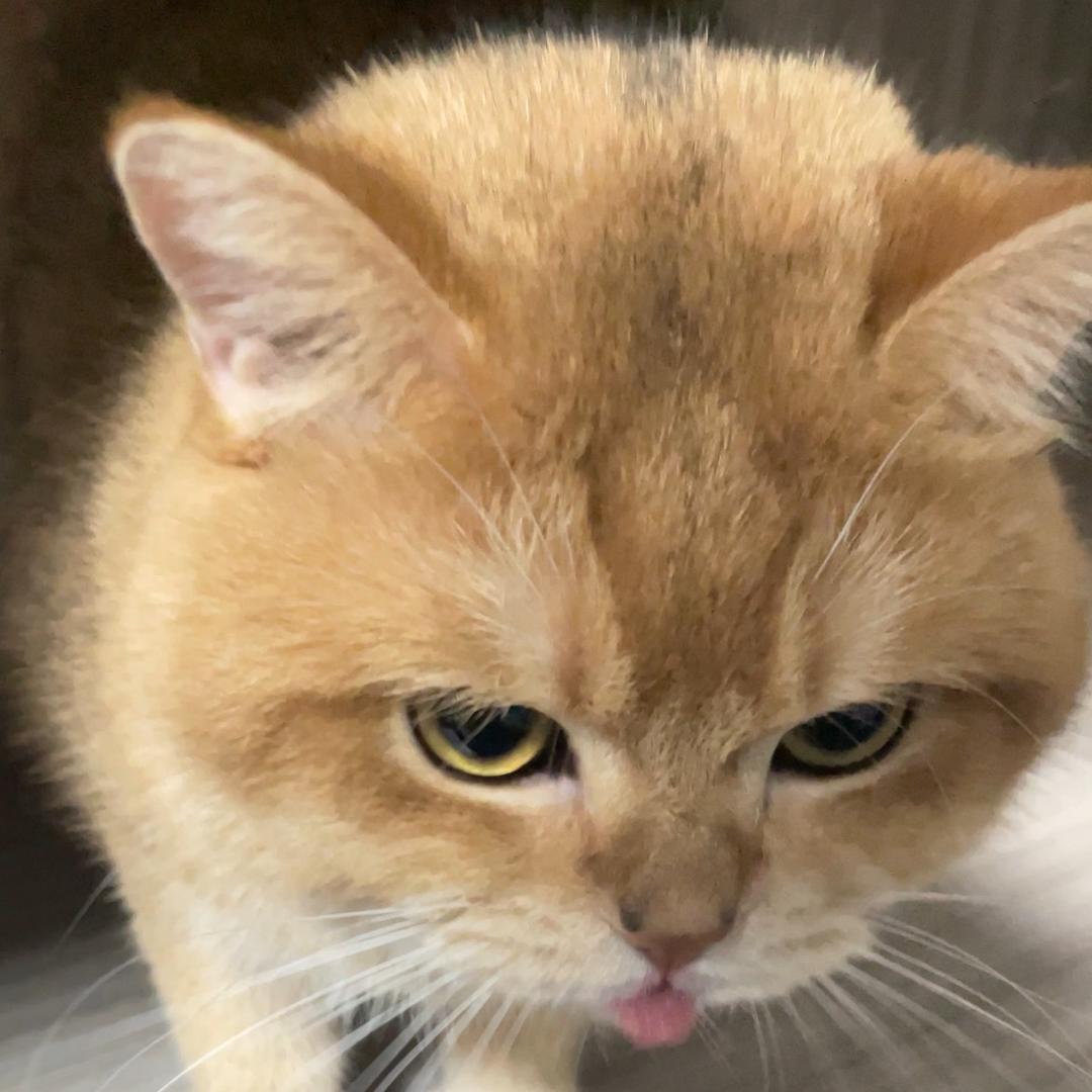 我要吃西瓜