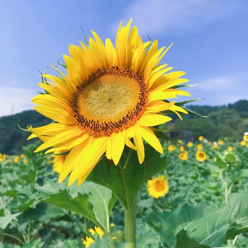 青阳二手房捡漏