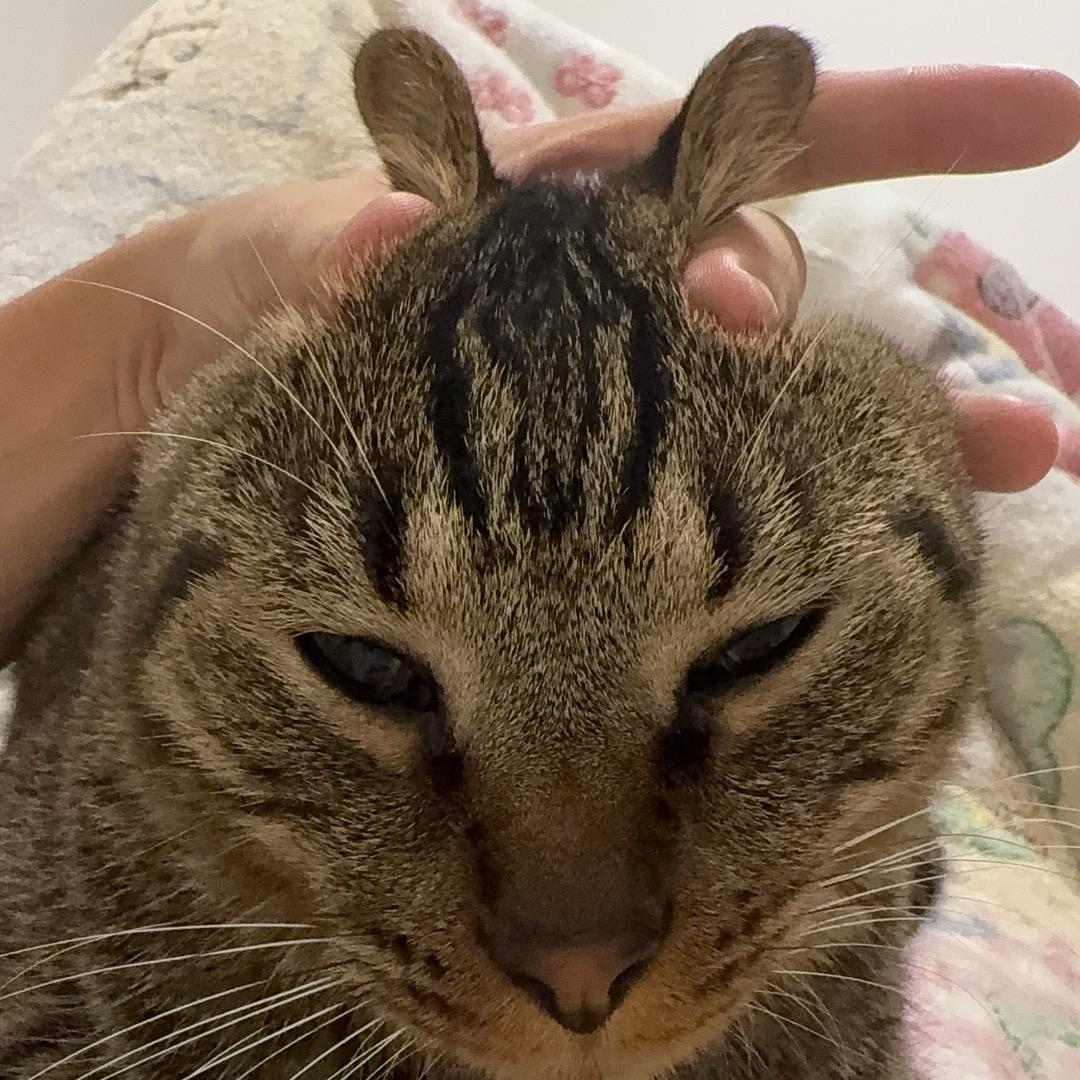 咕噜