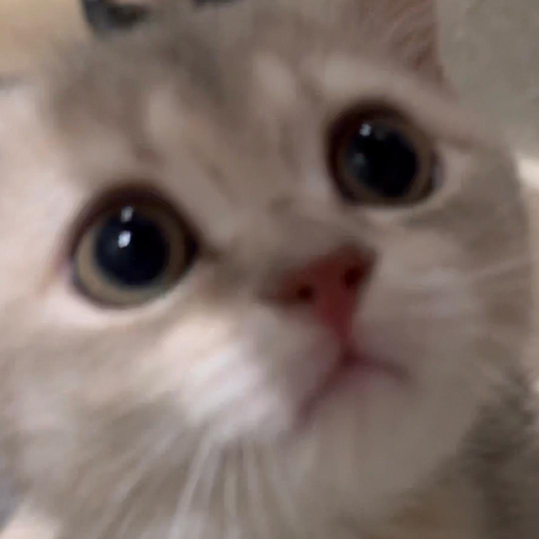地球球长