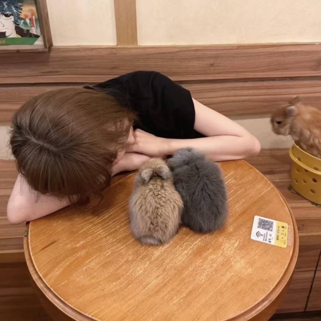 ʚ˃ ᵕ ˂ ɞ