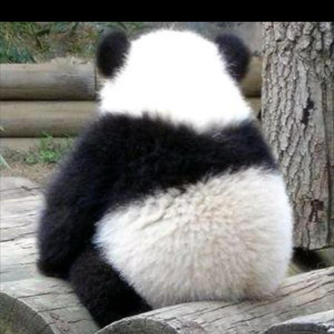 এ᭄𝑄𝑢𝑒𝑒𝑛ོꦿ࿐