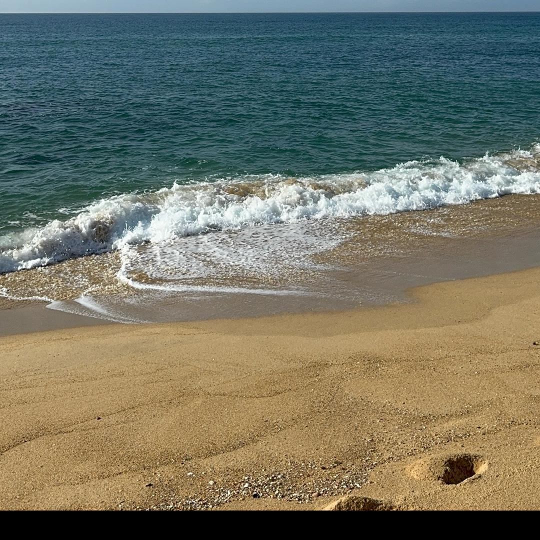 肺隔离（观必回）