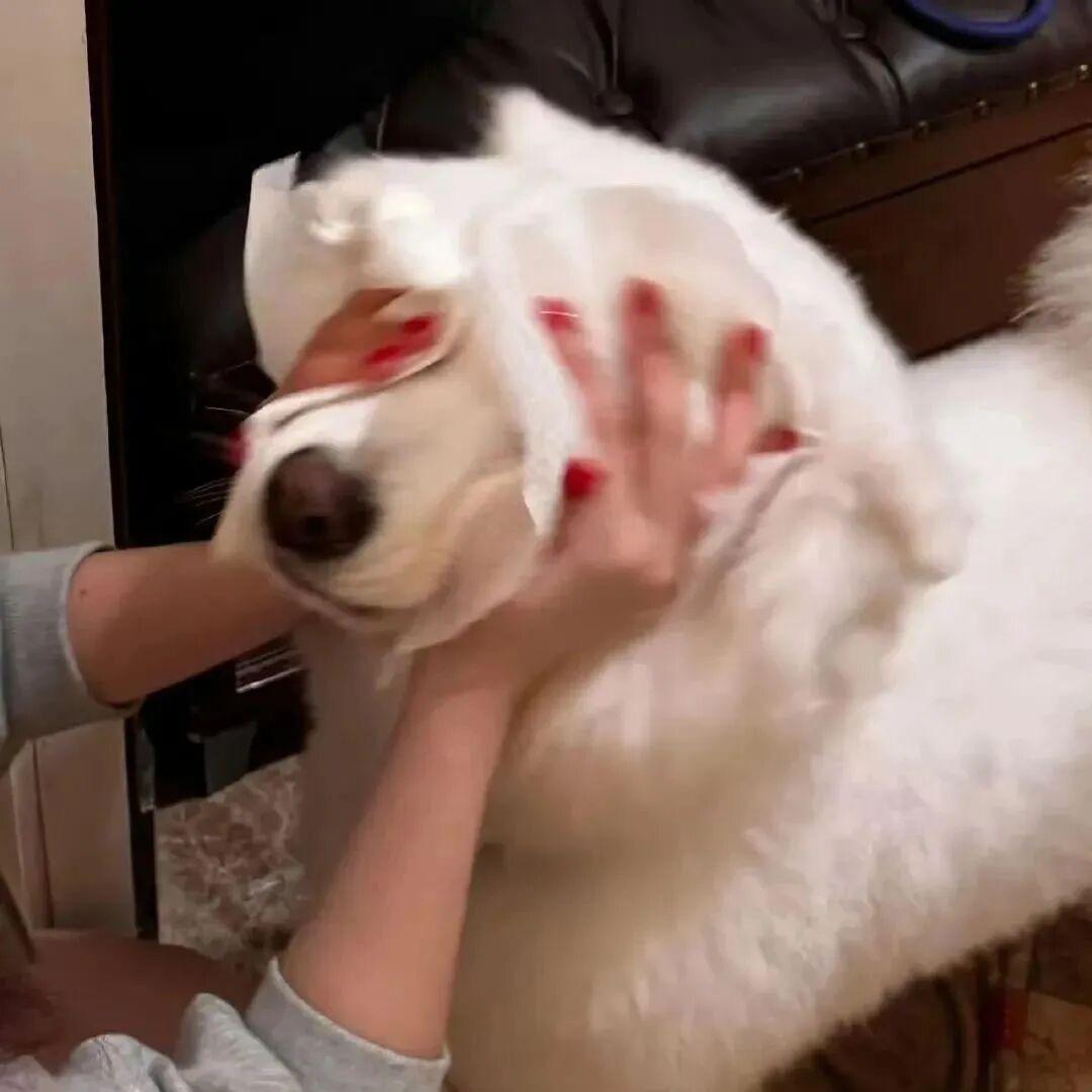 不嘻嘻