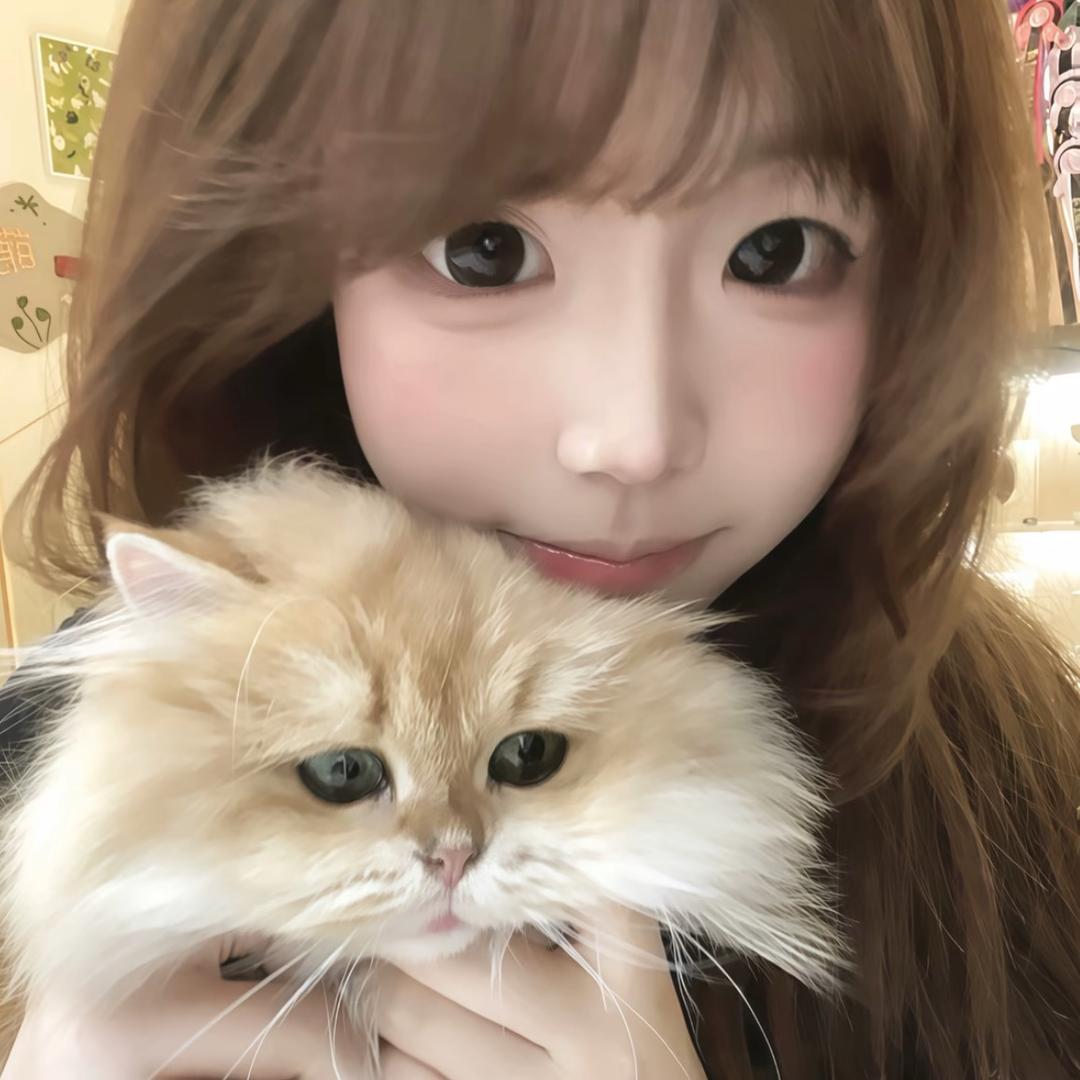 天降小愿