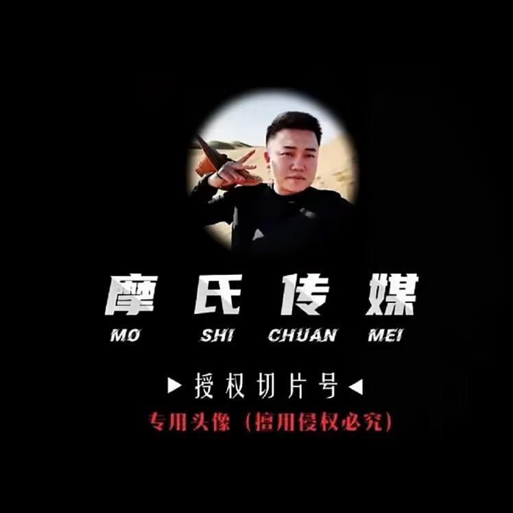 达摩切片—锦鲤