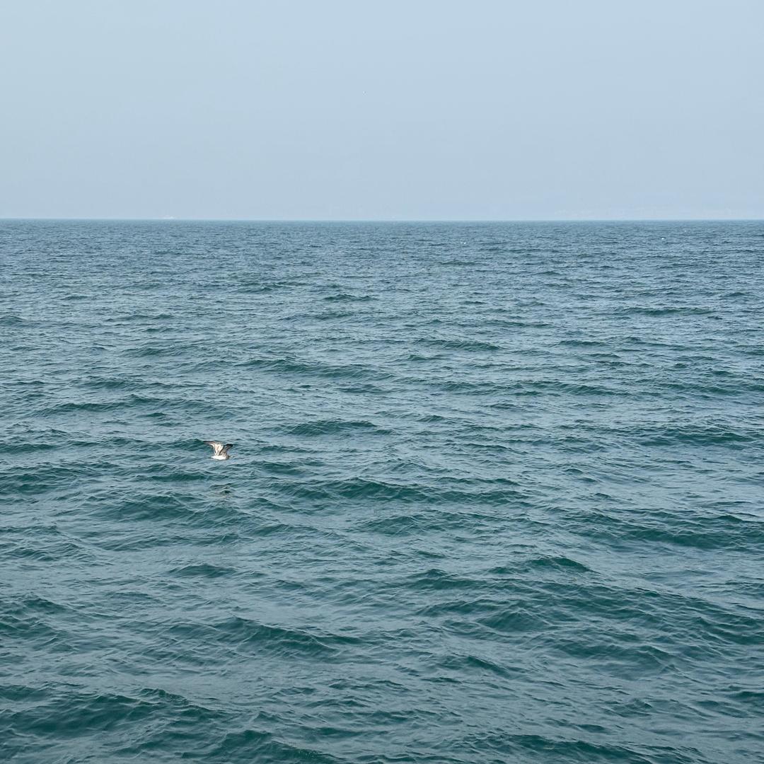 丿颠覆丶战 灬 東