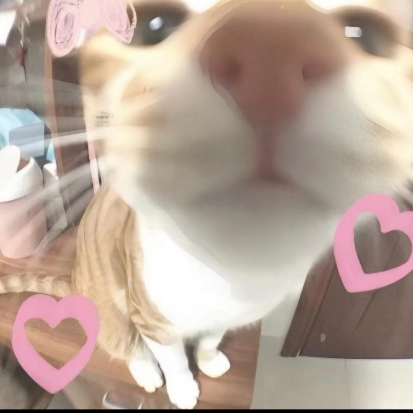惠子Kiyomi