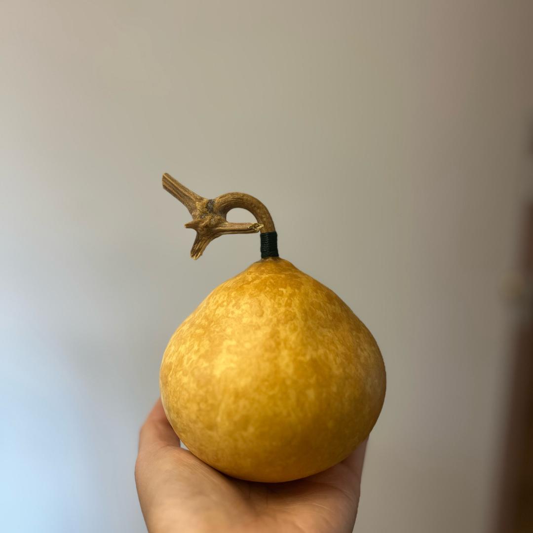 家乡葫芦