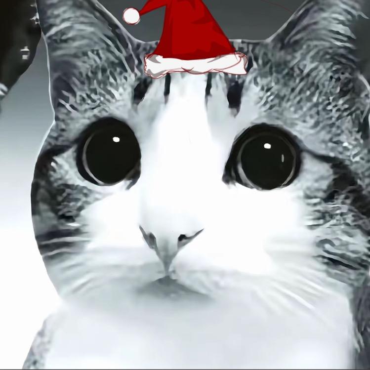 瓷猫…
