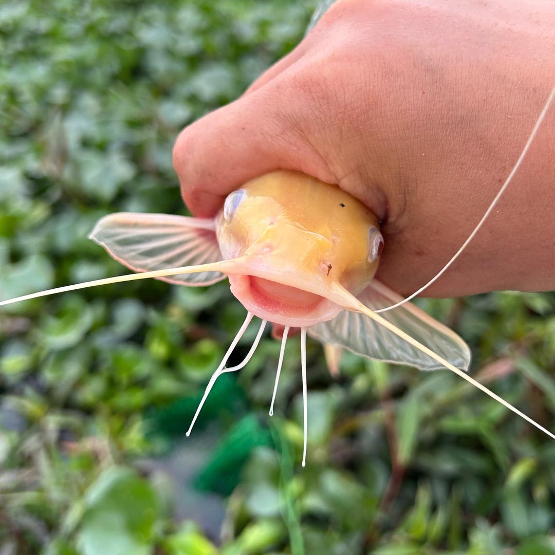 🪐与天同亮🌖