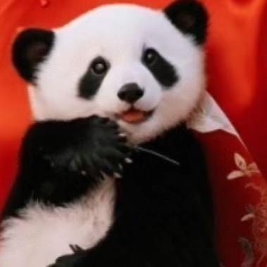 🌻幸运就是一小点😊