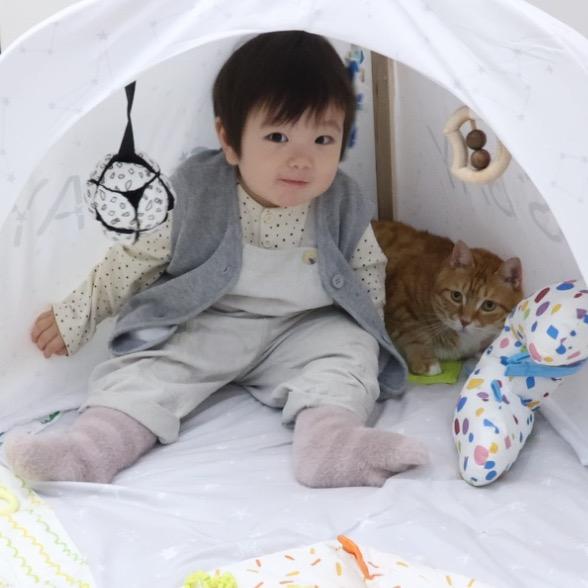 胃先生一家
