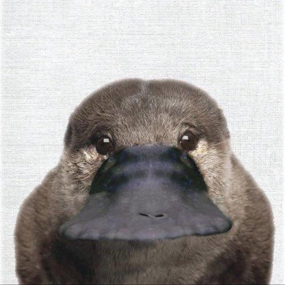 AAA水果批发李老板