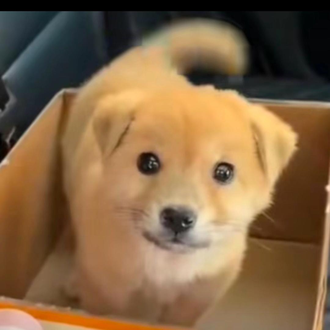 一只不会盘串的手