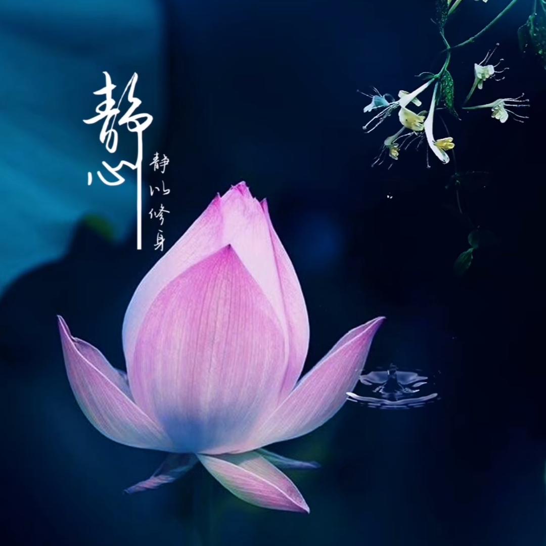 佳音（福缘堂）