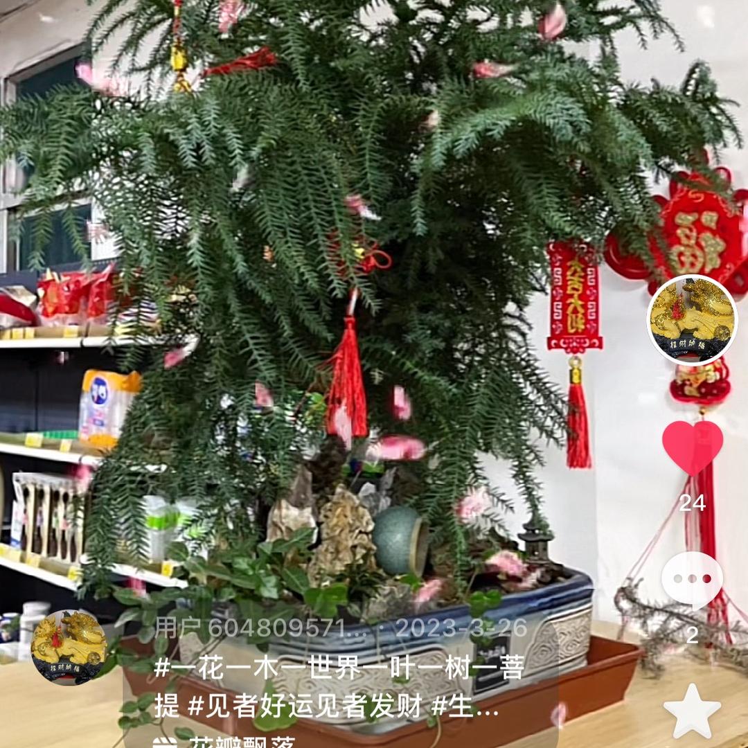 用户6048095714667玲