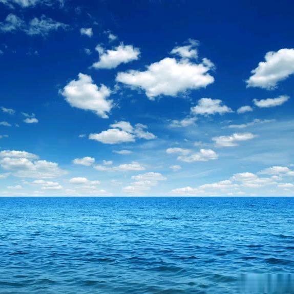 海之子（老李）