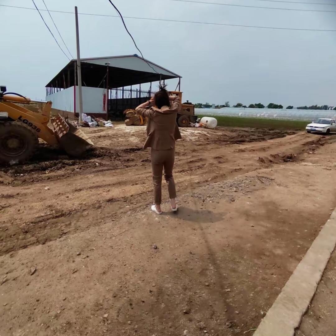 金馨烧烤