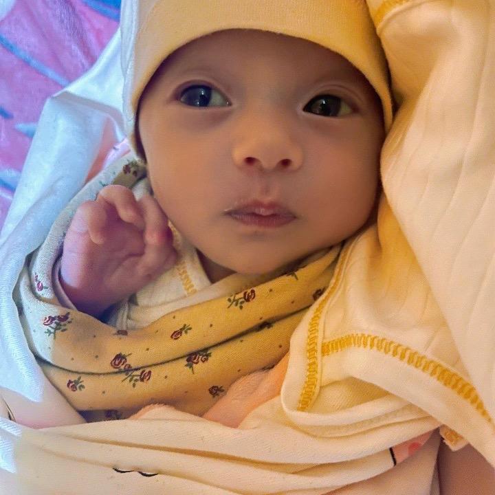 丹珍玫朵成长记