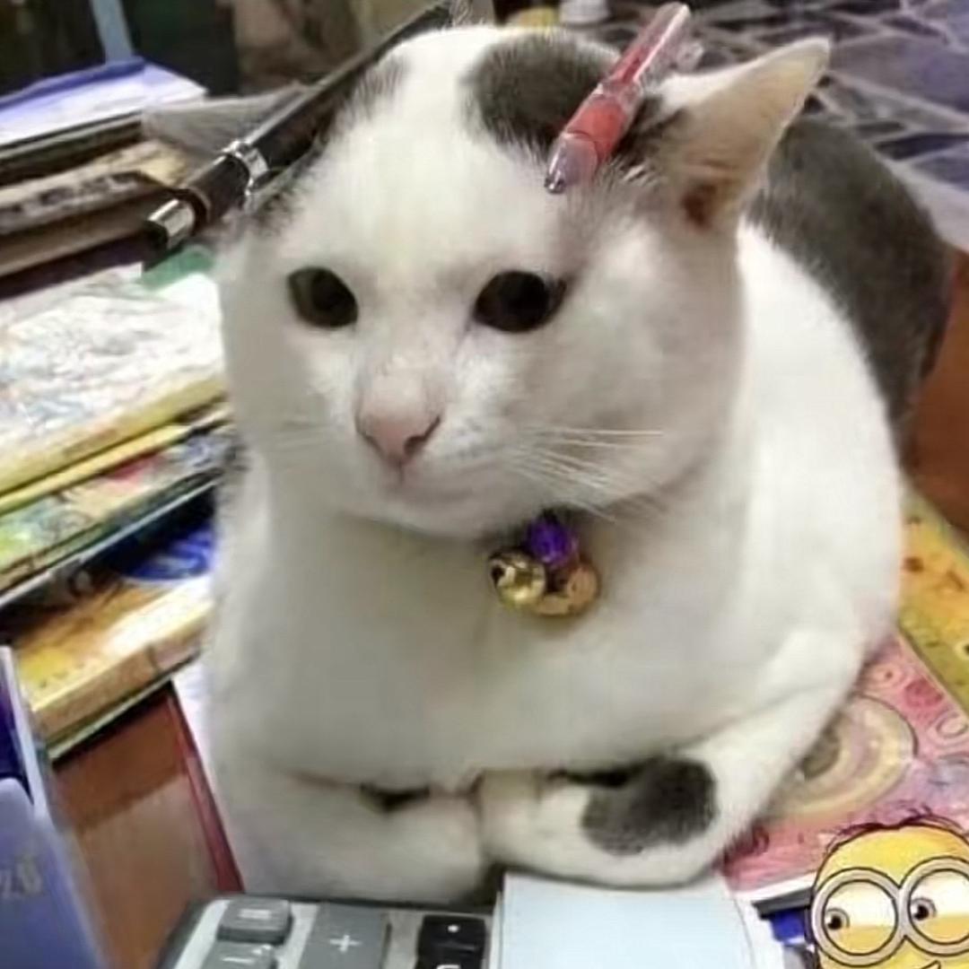 小灰