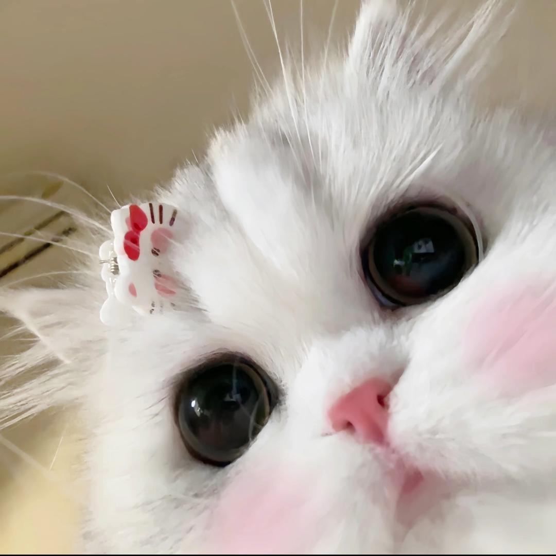 6+777777
