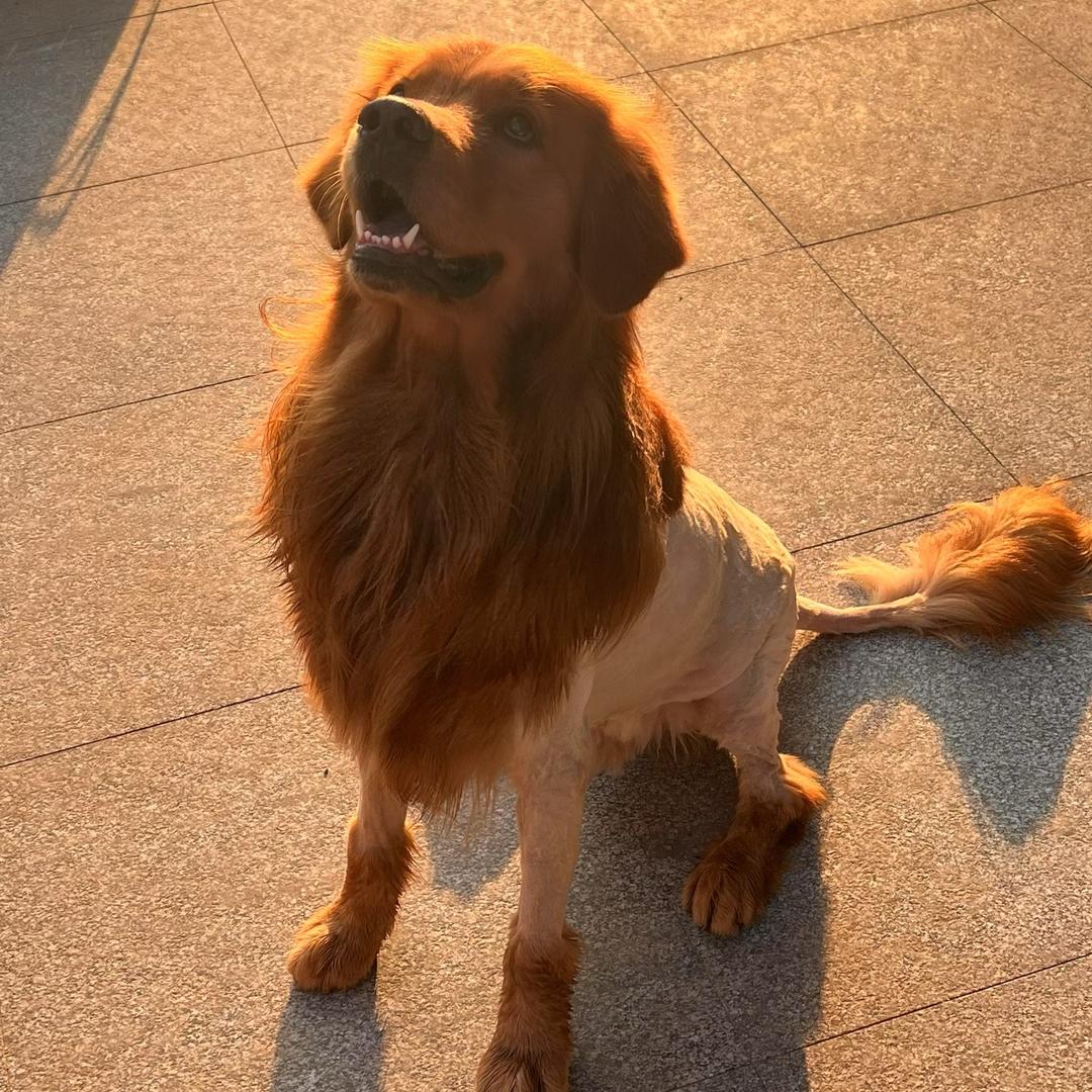 二嘎莫一破西隆倍根号三（孙唐面试没事播号