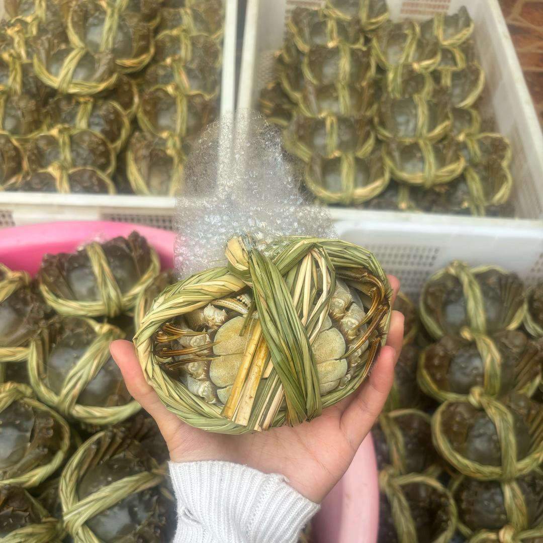 蟹小诚